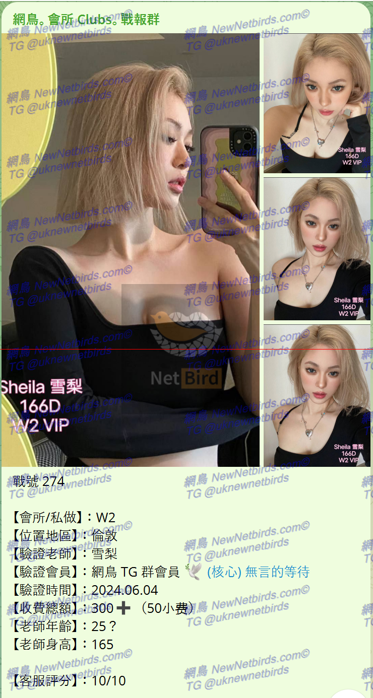 戰號 274 1.png